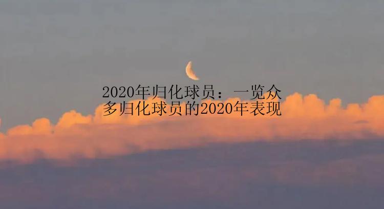 2020年归化球员：一览众多归化球员的2020年表现